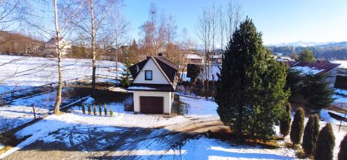 a small house in the snow with a tree at Domek pod Brzozami in Czarna Góra