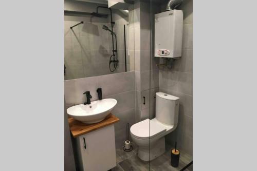 a bathroom with a toilet and a sink at Koszalin-Old Town Apartment in Koszalin