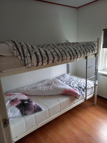 two bunk beds in a small room with at Aan 't weitje in Ermelo