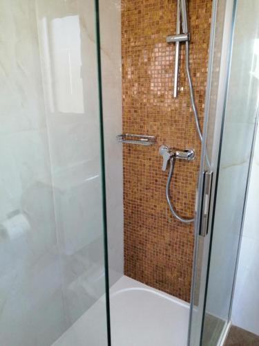 a shower stall with a glass door with a shower at Apartment Premantura in Premantura