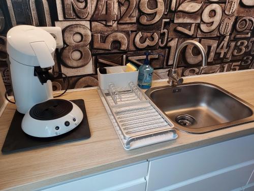 eine Küchentheke mit einer Spüle und einem Mixer in der Unterkunft Au Jardin de la Saudrune in Villeneuve-Tolosane