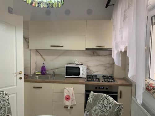 une cuisine avec évier et four micro-ondes sur un comptoir dans l'établissement Leon Apartment, à Brăila