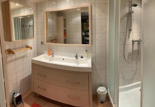 a bathroom with a sink and a shower at GITE LA FREYDIERE in La Bégude-de-Mazenc