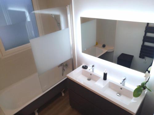 une salle de bain avec un lavabo, une douche et un miroir dans l'établissement Appartement tout confort 2 chbres - 72m2 - avec terrasse et vue Pyrénées, à Pau