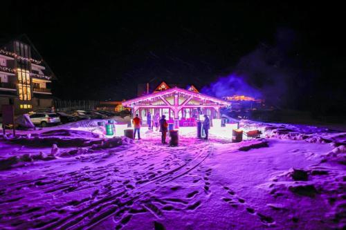 a group of people standing in front of a gazebo at night at Poarta Raiului in Tău Bistra