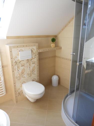 a small bathroom with a toilet and a shower at Apartament Kurzejówka in Rabka-Zdrój