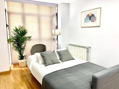 a bedroom with a bed and a potted plant at Apartamento La Sal in León
