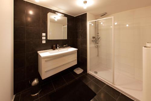un baño con lavabo y ducha en Le Corbeau - Grand Appartement Strasbourg Centre, Calme, en Estrasburgo