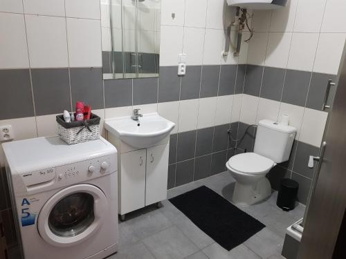 a bathroom with a washing machine and a sink at Černý Tulipán - Apartmán 2 in Pilsen