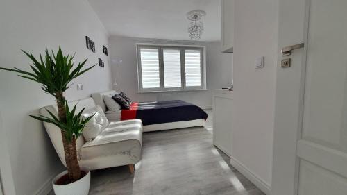 a living room with a couch and a bed at Sunny Apartments Gorlice in Gorlice