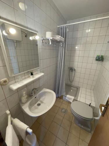 a bathroom with a sink and a toilet and a shower at Hard Rock Rooms for two in Livno