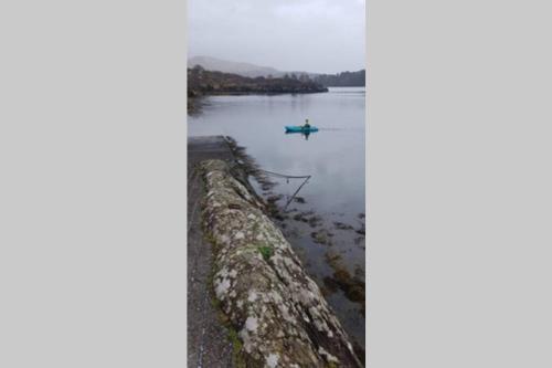 a person in a boat on a lake at Harbourside House Glengarriff in Glengarriff