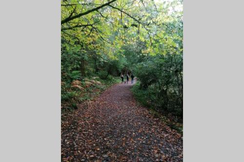 two people walking down a trail in the woods at Harbourside House Glengarriff in Glengarriff