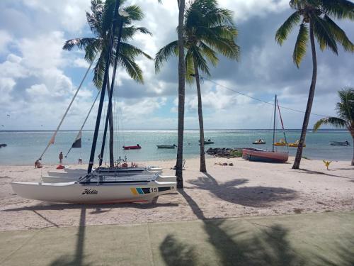 a boat parked on a beach with palm trees at LA MAISON DU LAGON in Saint-François