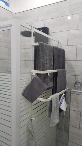 a bathroom with towels hanging on a towel rack at Le petit Luxembourg in Montignies-sur-Sambre