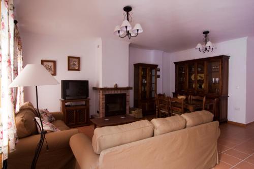 sala de estar con sofá y chimenea en Casa Concepción, en Grazalema