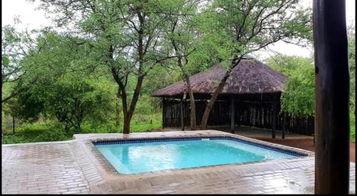 una piscina frente a un edificio con una cabaña en Athule Inn Marloth - House, en Marloth Park