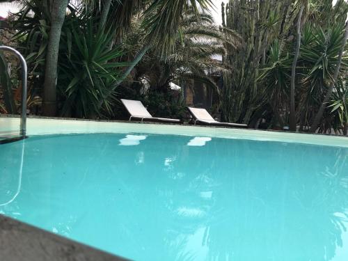a swimming pool with two chairs and palm trees at Cactus b&b Le casette di Marilena in Pantelleria