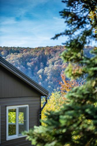 a house with a view of a mountain at Le Chalet in Vresse-sur-Semois