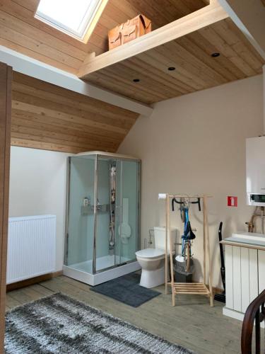 a bathroom with a glass shower and a toilet at Vélo 94 in Geel
