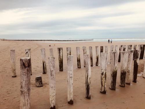a group of wooden posts on the beach at Antibes 278 - Kustpark Village Scaldia in Hoofdplaat