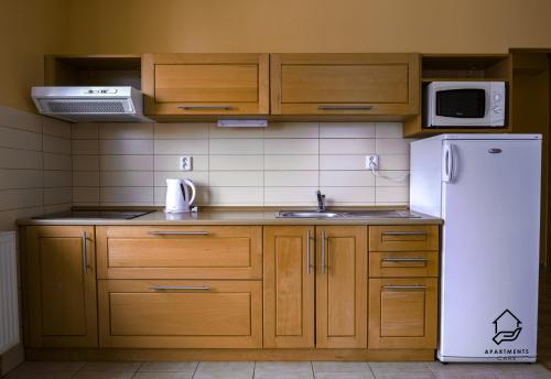Kuchyň nebo kuchyňský kout v ubytování Apartments TatryStay