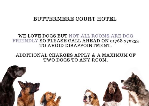 a group of dogs sitting in a row at Buttermere Court Hotel in Buttermere