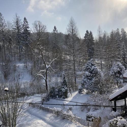 a yard covered in snow with a fence and trees at Cud Miód in Wisła