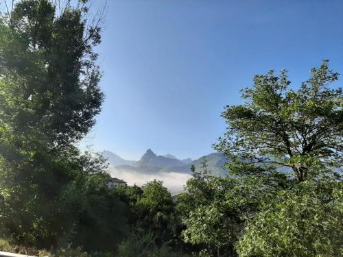 a group of trees with a mountain in the background at Mirador de Enterrias in Enterria