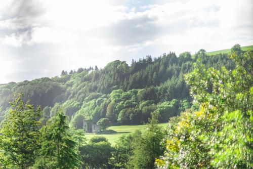 a view of a mountain with trees and a field at Ardnavaha House - Poolside Cottages in Clonakilty