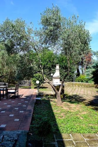 Κήπος έξω από το Agriturismo Eden