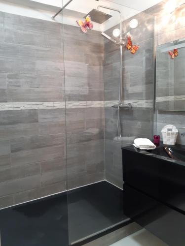a bathroom with a glass shower with a sink at MARCO POLO in Saint-François
