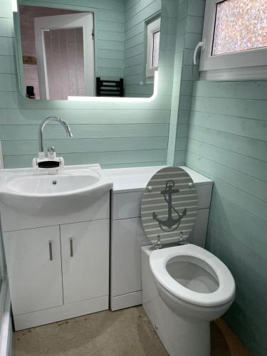 ein Badezimmer mit einem Waschbecken, einem WC und einem Spiegel in der Unterkunft The Old Garage in Saltdean