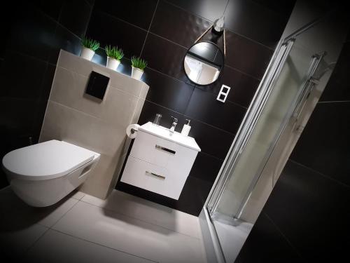 a bathroom with a toilet and a sink and a shower at Dworek Zakopane in Zakopane