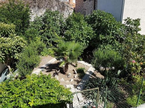 un giardino con piante e alberi e una recinzione di Apartment Aduro a Šibenik