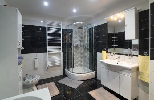 W łazience znajduje się umywalka, toaleta i prysznic. w obiekcie Apartments Lucia Senj w mieście Senj