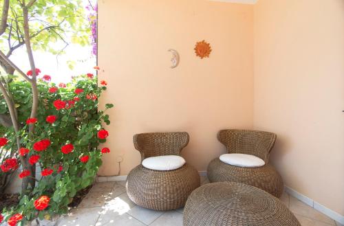 two wicker chairs sitting next to a plant with red flowers at Sos Dorroles in Cala Gonone