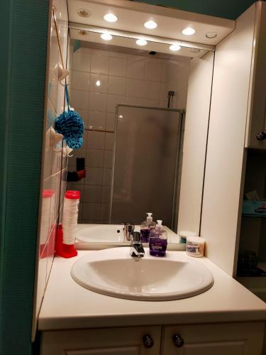 une salle de bain avec un lavabo et un miroir dans l'établissement La petite maison bleue, à Lopérec