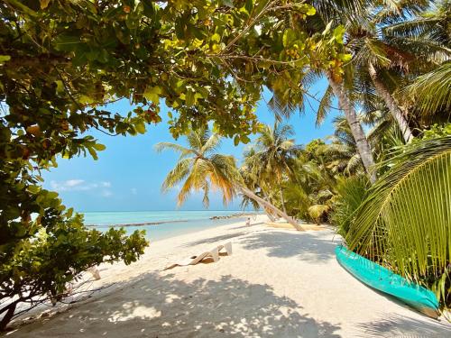a beach with palm trees and a blue boat on it at Veli Beach Inn in Mathiveri