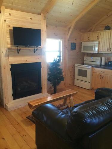 a living room with a couch and a fireplace at Avenwood Cabins in Logan
