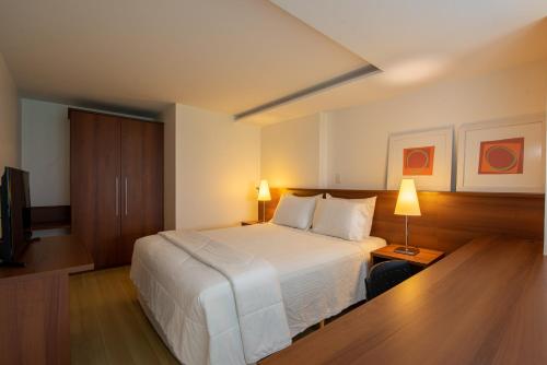 a hotel room with a bed and a television at Hotel Habitare in Nova Friburgo