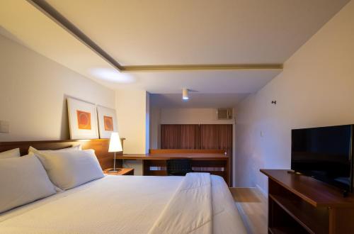 a bedroom with a bed and a desk with a television at Hotel Habitare in Nova Friburgo