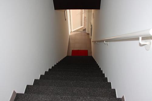 a staircase in a room with a red carpet at Juwel Fruithof in Zepperen