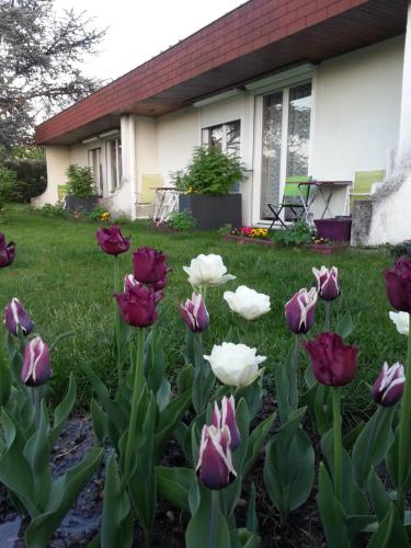 Garður fyrir utan Les Jardins du Forez