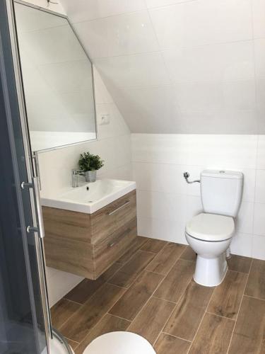 a bathroom with a toilet and a sink and a mirror at ZACISZE in Karłów