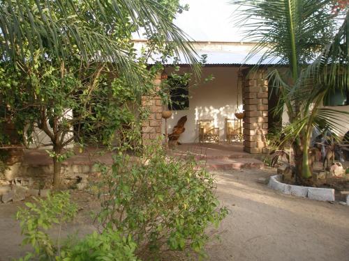 a cat sitting in the doorway of a house at Kansala Ta Toto in Kafountine
