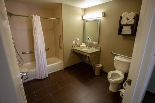 a bathroom with a toilet and a sink and a shower at Staybridge Suites Silicon Valley - Milpitas, an IHG Hotel in Milpitas