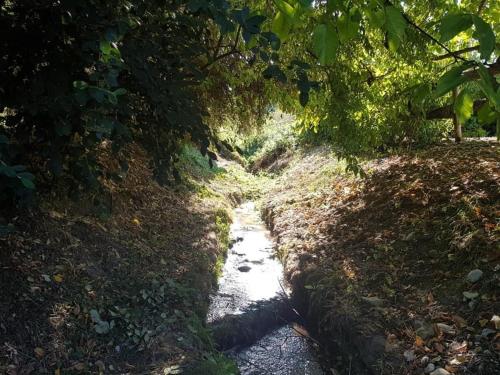 Φυσικό τοπίο κοντά σε αυτή η παραθεριστική κατοικία