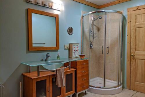 a bathroom with a shower and a sink and a mirror at Chalet Le Boisé in Wakefield