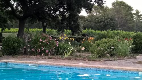 - une piscine dans un jardin fleuri dans l'établissement Mas Des Graviers, à Pourrières